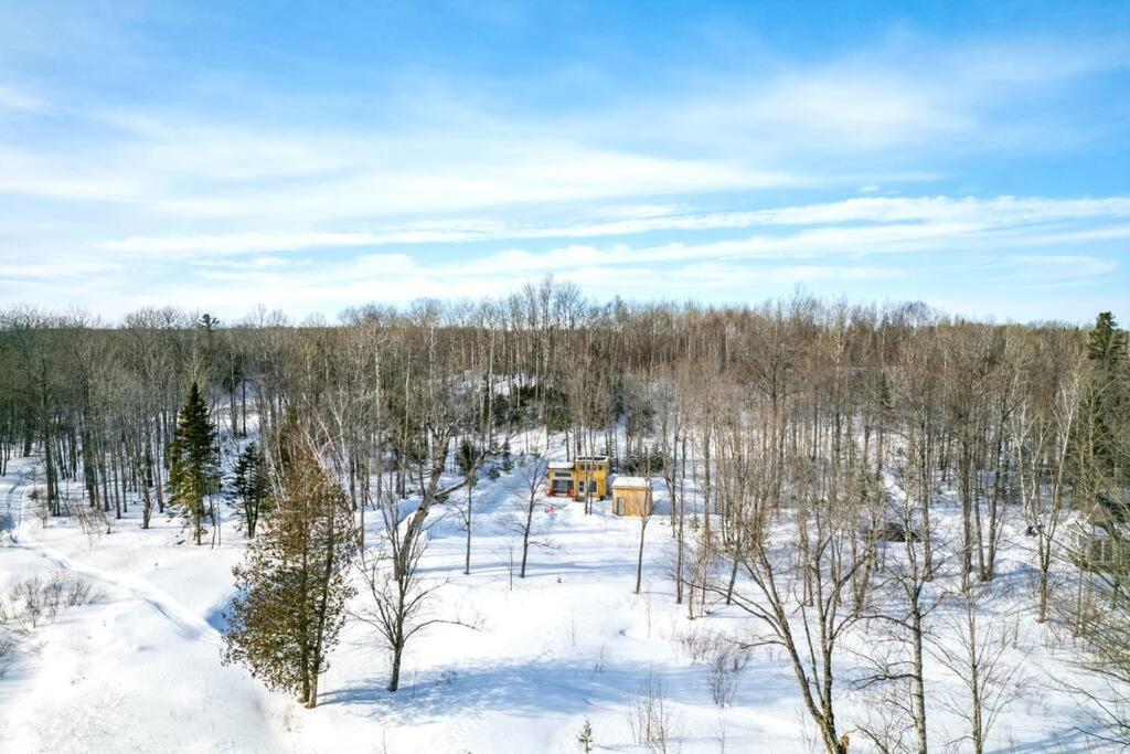 Cozy Cabin For Intimate Wilderness Escape Bathurst Esterno foto